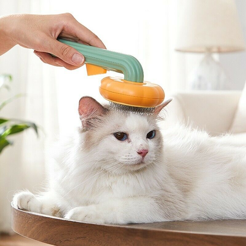 Orange Poppy self cleaning slicker brush for pets used to groom a white longhaired cat on a table