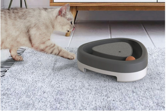 Orange Poppy smart electric cat toy triangular gray interactive ball toy on carpet with curious cat