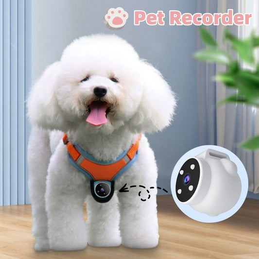 White fluffy dog wearing orange harness with mounted pet tracker collar with camera for live monitoring