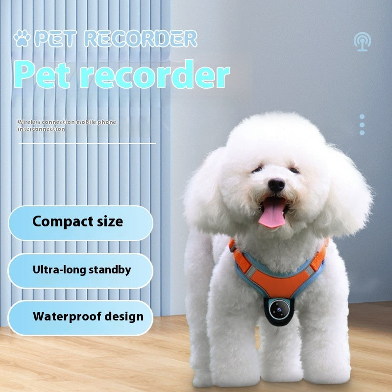 Orange Poppy pet tracker collar with camera on a small white fluffy dog harness waterproof compact