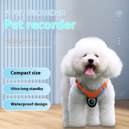Orange Poppy pet tracker collar with camera on a small white fluffy dog harness waterproof compact