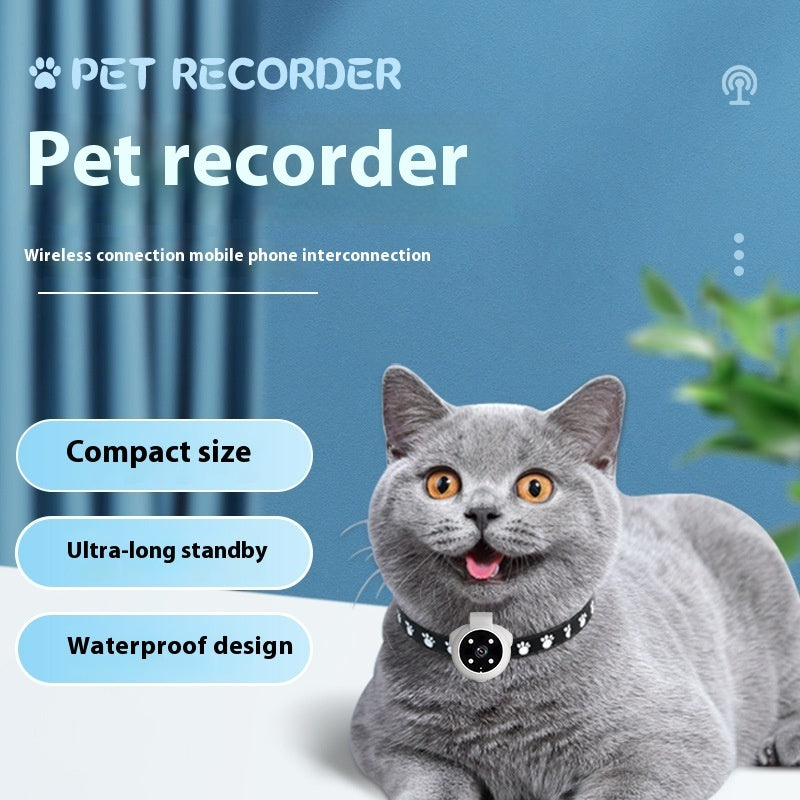Gray British Shorthair cat wearing pet tracker collar with camera on black star collar against blue backdrop