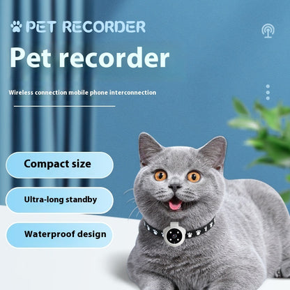 Gray British Shorthair cat wearing pet tracker collar with camera on black star collar against blue backdrop
