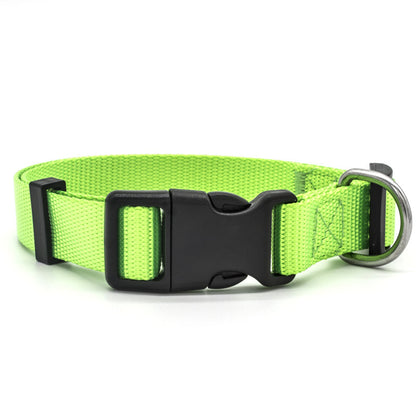 Bright green adjustable pet collar with durable buckle and metal D-ring for leash attachment