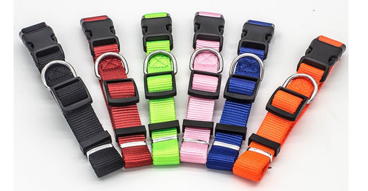 Colorful adjustable pet collar set in red, green, pink, black, orange, and blue for small dogs and cats