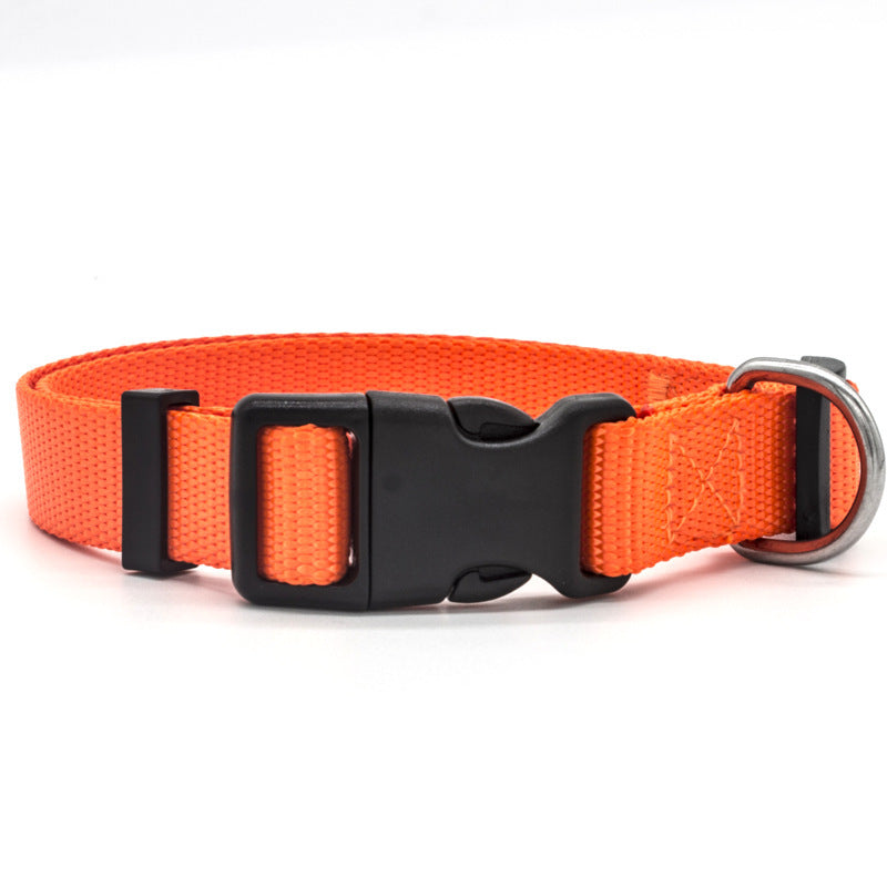 Bright orange adjustable pet collar with sturdy buckle and metal ring for leash attachment