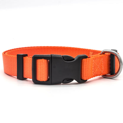 Bright orange adjustable pet collar with sturdy buckle and metal ring for leash attachment