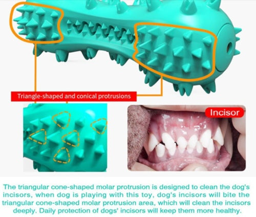 Orange Poppy turquoise spiky rubber chew bone durable dog teeth cleaning toy for incisors and molars
