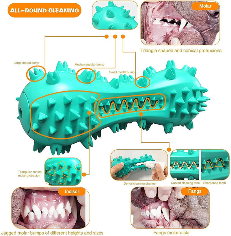 Orange Poppy durable dog teeth cleaning toy textured chew bone with spikes for dental cleaning and gum massage