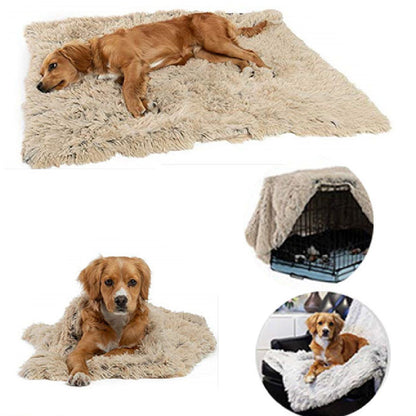 Orange Poppy cream shaggy pet blanket with golden retriever on mat crate and couch soft pet blankets for dogs and cats