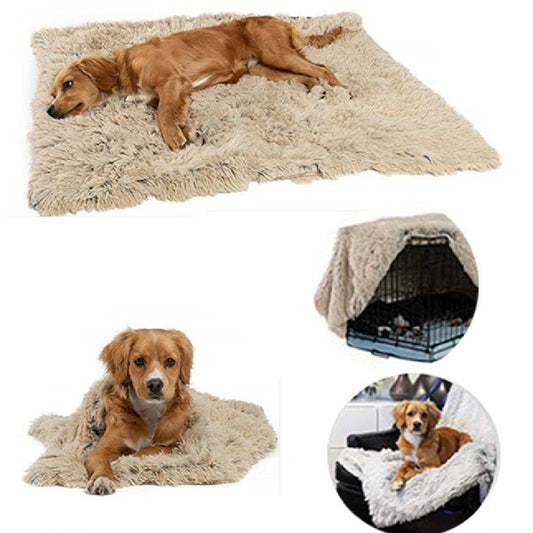 Orange Poppy cream shaggy pet blanket with golden retriever on mat crate and couch soft pet blankets for dogs and cats
