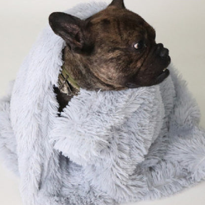 Orange Poppy light gray fluffy blanket wrapped around small dog for cozy naps, soft pet blankets for dogs and cats