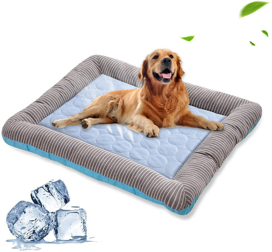 Orange Poppy cooling bed for dogs and cats blue quilted bed with bolstered gray striped sides and golden retriever
