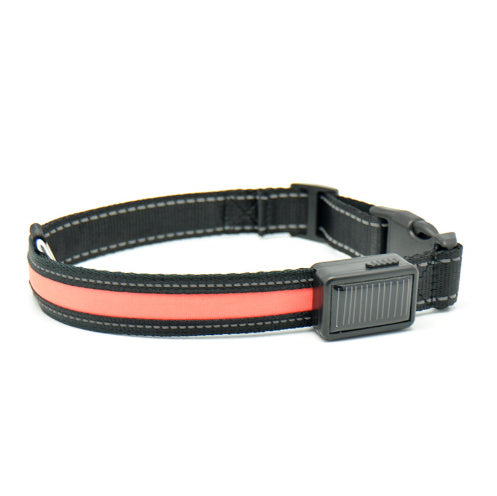 Orange Poppy adjustable black nylon fluorescent dog collar with pinkish orange lightstrip and plastic buckle for nighttime walks