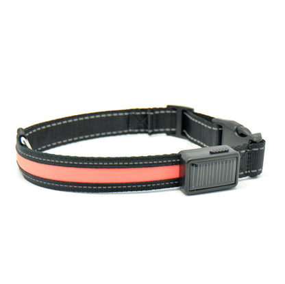 Orange Poppy adjustable black nylon fluorescent dog collar with pinkish orange lightstrip and plastic buckle for nighttime walks