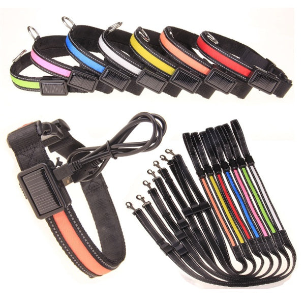 Assorted LED rechargeable fluorescent dog collar set in multiple colors with USB cable and matching leashes