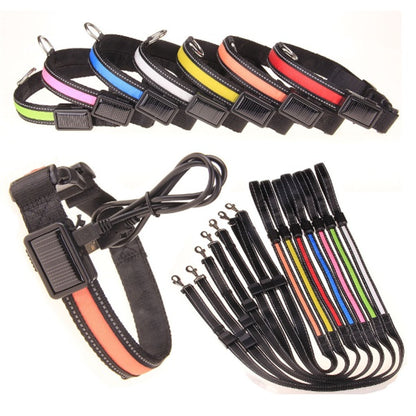 Assorted LED rechargeable fluorescent dog collar set in multiple colors with USB cable and matching leashes