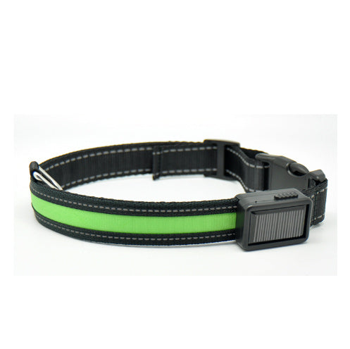 Orange Poppy adjustable black nylon fluorescent dog collar with neon green safety strip and buckle