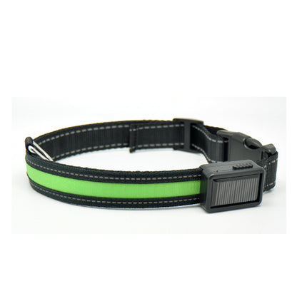 Orange Poppy adjustable black nylon fluorescent dog collar with neon green safety strip and buckle