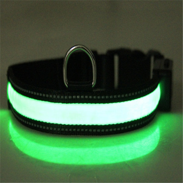 Orange Poppy fluorescent dog collar glowing green lighted nylon collar with metal D ring for night walks