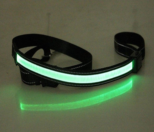 Orange Poppy fluorescent dog collar glowing green LED safety strap adjustable for night walks