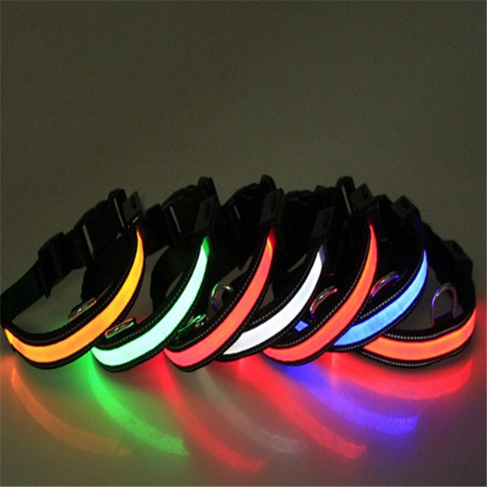 Orange Poppy fluorescent dog collar set showing multiple LED colors for nighttime visibility and adjustable buckle