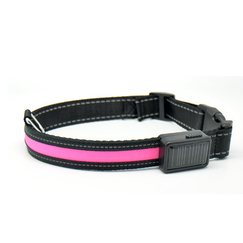 Orange Poppy fluorescent dog collar black adjustable nylon with bright pink fluorescent strip and buckle