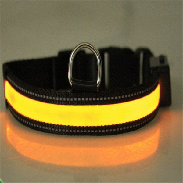 Orange glowing fluorescent dog collar on black nylon strap with metal D ring for nighttime visibility