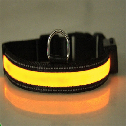 Orange glowing fluorescent dog collar on black nylon strap with metal D ring for nighttime visibility