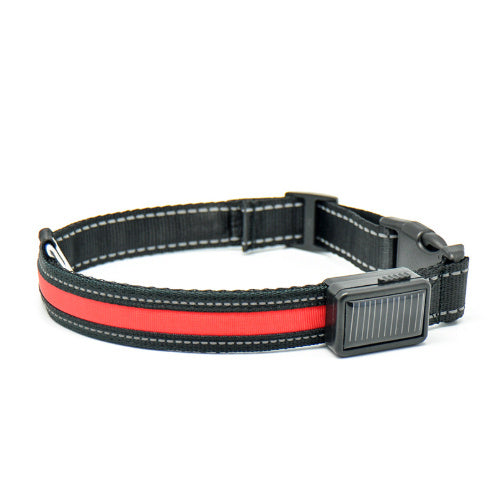 Orange Poppy fluorescent dog collar black adjustable nylon with red reflective stripe and quick release buckle