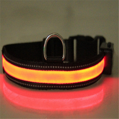 Orange Poppy fluorescent dog collar glowing LED safety collar with metal D ring for nighttime walks