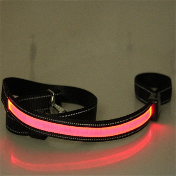 Orange Poppy fluorescent dog collar LED lighted red strip on black adjustable nylon strap for night safety
