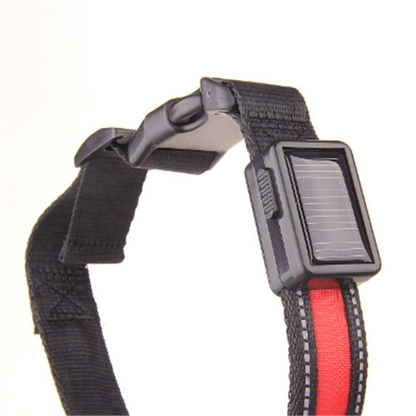 Orange Poppy fluorescent dog collar black nylon with red stripe solar LED module reflective stitching adjustable buckle