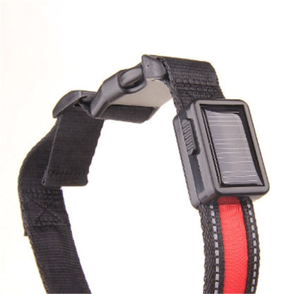 Orange Poppy fluorescent dog collar black nylon with red stripe solar LED module reflective stitching adjustable buckle