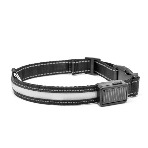 Orange Poppy black nylon fluorescent dog collar with white reflective strip and quick release buckle for nighttime visibility