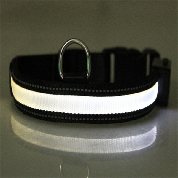 Orange Poppy fluorescent dog collar with bright LED reflective strip and D ring for nighttime safety