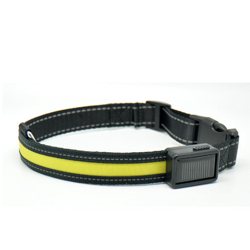 Orange Poppy fluorescent dog collar black nylon with neon yellow high visibility strip and light module