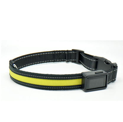 Orange Poppy fluorescent dog collar black nylon with neon yellow high visibility strip and light module