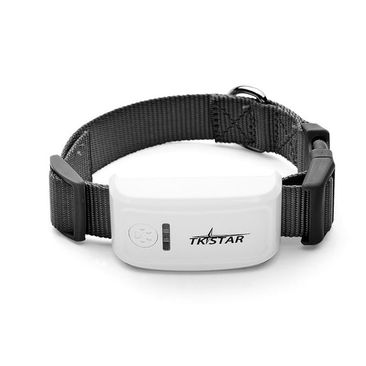 Orange Poppy cat GPS tracker white GPS module on adjustable gray nylon collar for pet location