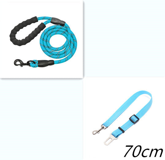 Durable nylon dog rope leash in vibrant blue with comfortable grip for easy control