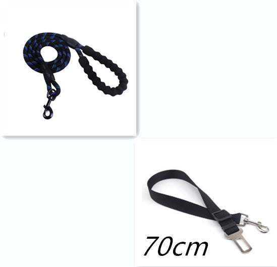 Durable nylon dog rope leash in blue and black, perfect for daily walks and training