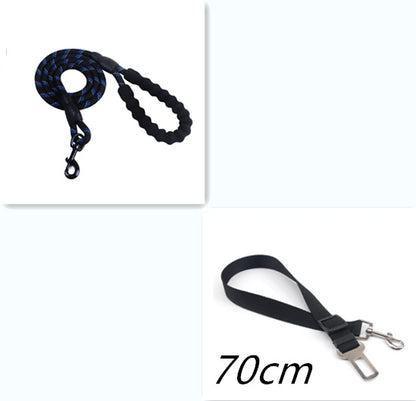 Durable nylon dog rope leash in blue and black, perfect for daily walks and training