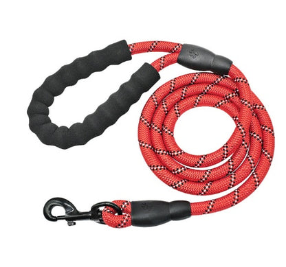 Red nylon dog rope leash with padded handle for comfortable grip during walks