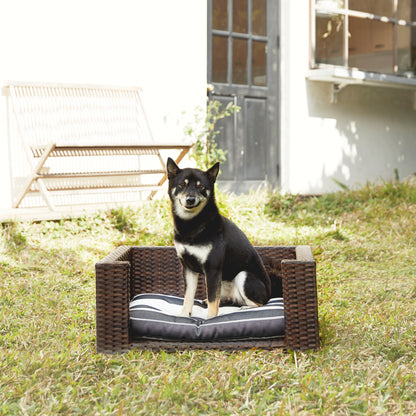 Rattan dog bed with cushion in dark brown featuring a black and white dog sitting outdoors on grass