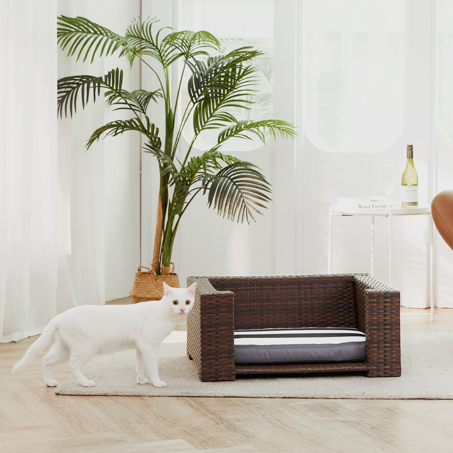 Ochre Menoetius rattan dog bed with cushion in a modern living room setting with white cat nearby