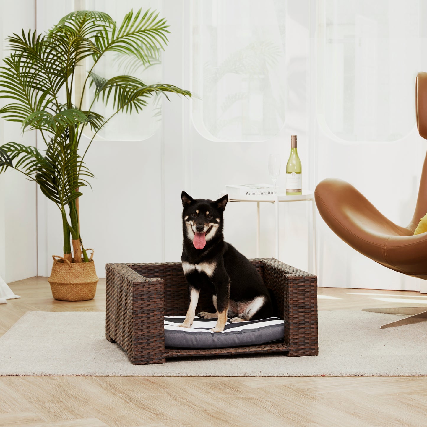 Rattan dog bed with cushion featuring a black dog sitting on it in a modern living room