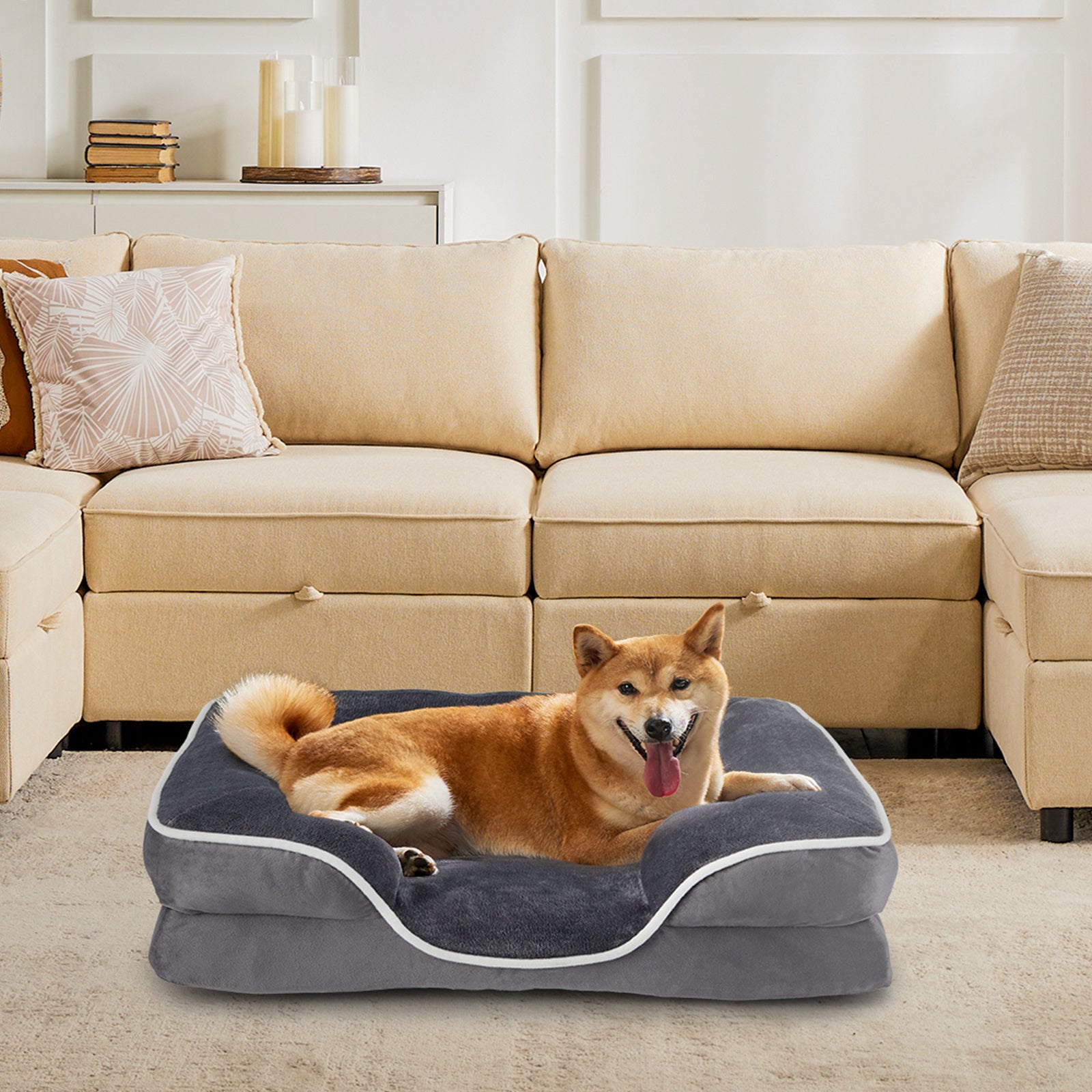 Washable dog bed with removable cover, featuring a cozy design for pets to relax comfortably