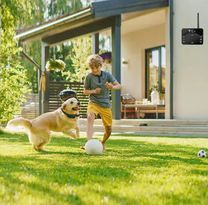 A boy playing with a golden retriever in the yard near a wireless electric dog fence for safe outdoor activities