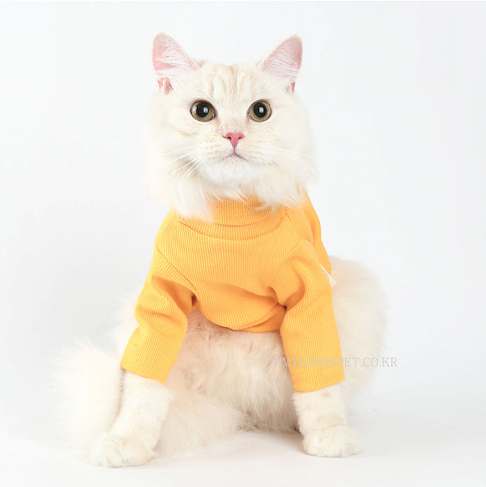 White fluffy cat wearing a yellow turtleneck cat sweater sitting on a white background