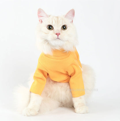 White fluffy cat wearing a yellow turtleneck cat sweater sitting on a white background